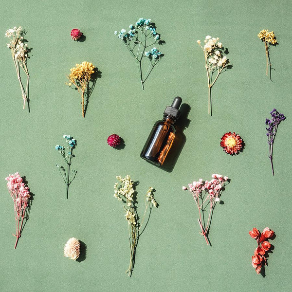 Introduction: Bach Flowers Remedies